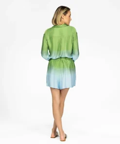 Palmy Dipdye